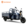 Дешевая цена электрический грузовой трехколесный велосипед-C-ZJ150